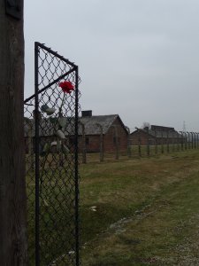 Kraków, Poland - Day 2 Auschwitz