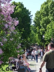 Lovely Oslo and the Journey to Flåm