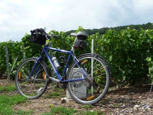 267273_10150261662026463_2119018_n