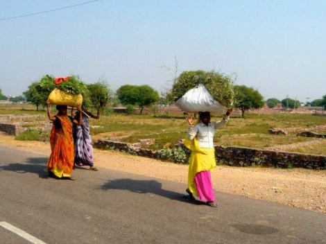 555583_10151747755066463_598643815_n